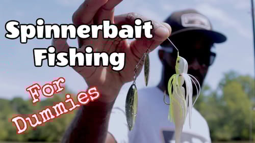 Fishing Gear You Need to Retrieve a Spinnerbait Correctly