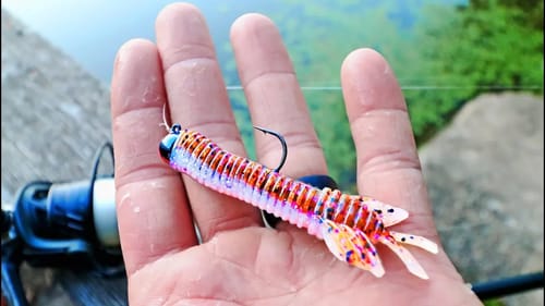 FALL Bass Fishing with the NEW Sukoshi Bug! (UNEXPECTED)