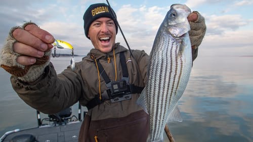 Jigging Winter Striped Bass with Blade Baits
