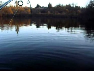 weightless senko bass fishing