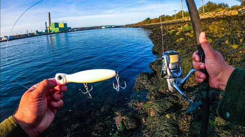 Throwing a Big Popper in the Cape Cod Canal