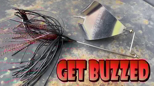 Buzzbait Tips for Post Spawn Bass