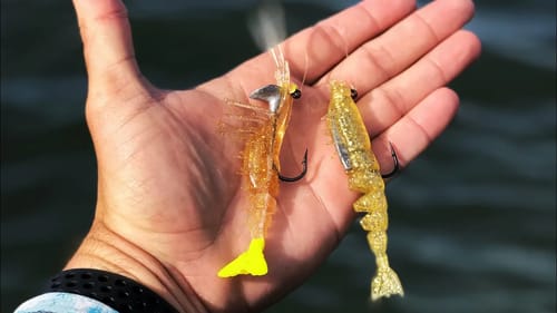 One of These Catches Fish and the Other Doesn't!