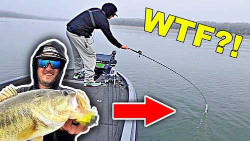 You've NEVER seen me Catch GIANT Bass like this!
