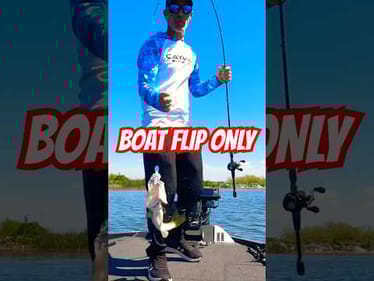 Harris Chain 🎣 Chatterbait Fishing MLF Toyota Series #short #bassfishing #boatfliponly