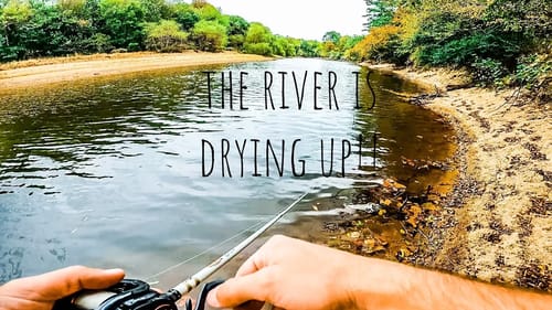 The RIVER Is DRIED UP....But The FISH Are STILL Biting!! || Fall Bass Fishing