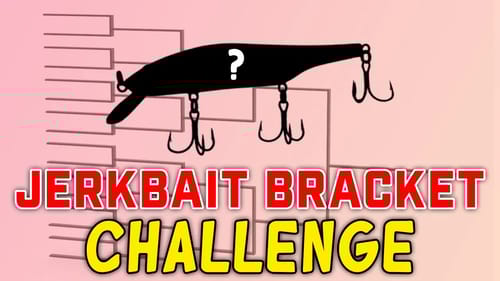 12 of the BEST Jerkbaits & We Had to Choose ONE!