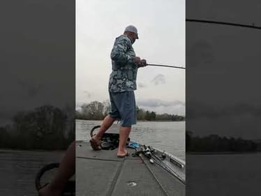 Glidebait Bites Are Awesome! 🎣 #shorts