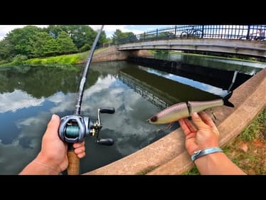 Fishing For GIANT BASS With HUGE SWIMBAITS! (Urban Pond Fishing)
