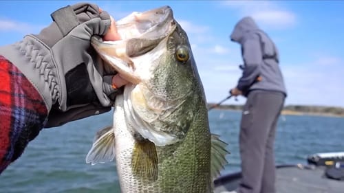 Best Bass Fishing Areas & Techniques Before the Spawn