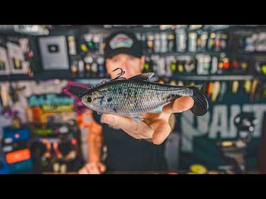 BAIT DROP! 6th Sense Drops Another New Swimbait "The Option" & I Stick a Giant on Topwater