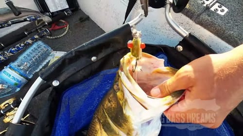 Lots of Fails A Little Bit of Success   Big Barra Dreams Part 13