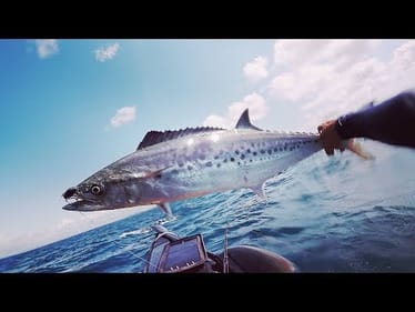 Noosa Offshore Kayak Fishing Tournament 2018