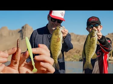 This Finesse Swimbait Is A Smallmouth Anglers Dream!! Duo Realis Versa Shad Breakdown!