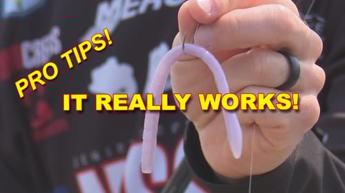 Wacky Rig In The Fall | Bass Fishing