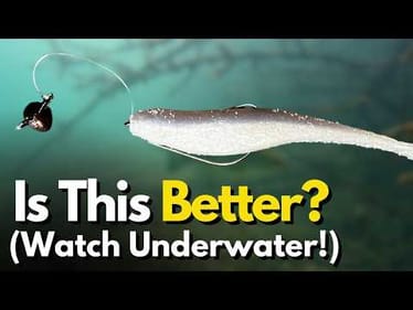 Watch the Hybrid Carolina Rig Underwater! (3 Retrieves Tested)