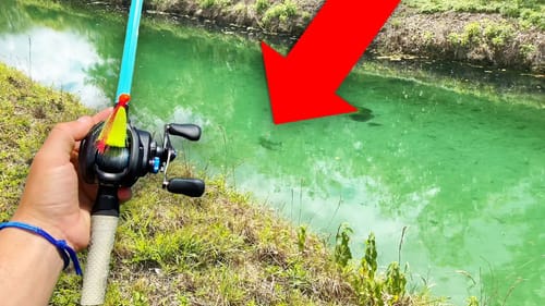 Catching AGGRESSIVE Fish in CLEAR Canal! (EPIC Topwater Bite)