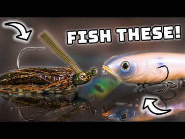 JUNE Fishing Lures You NEED To Be Using!
