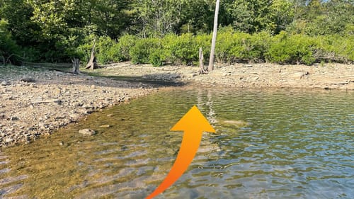 Don’t Waste Your Time Fishing The Backend’s Of Coves And Creeks…