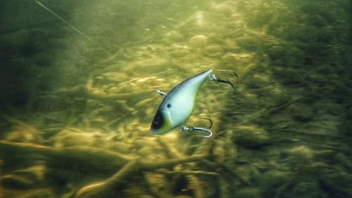 How to Fish Lipless Crankbaits Over Points