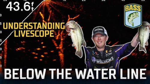 Below the Water Line: Panoptix LiveScope will change the way you fish