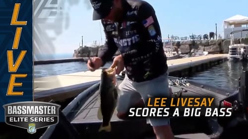 Lee Livesay living big with a kicker largemouth