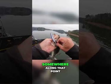 Mastering Bass Fishing: Channel Swings and Vertical Cover Tips
