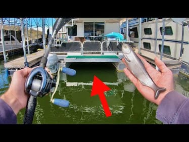 I Caught A MONSTER Fish Underneath This House Boat!