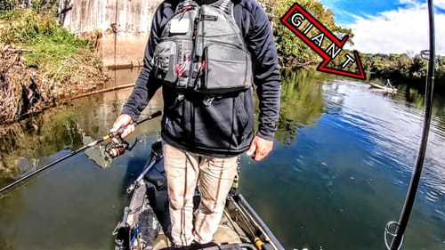 THE BIGGEST SMALLMOUTH I'VE EVER SEEN ON THIS RIVER!!!!