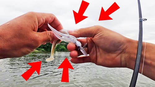 Fishing CHATTERBAITS for BASS to IMITATE SHAD! (LAKE GUNTERSVILLE)