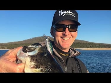 3 EASY Ways To Catch A Quick Limit Of Bass In October…