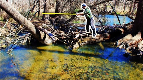 HIDDEN FOREST CREEK has UNREAL FISH!! (Unexpected)
