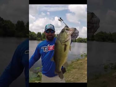 THIS DOES NOT HAPPEN... BUT IT DID!!! #shorts #fishing #bassfishing #fishingtips