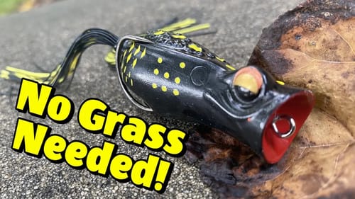 Open Water Frog Fishing