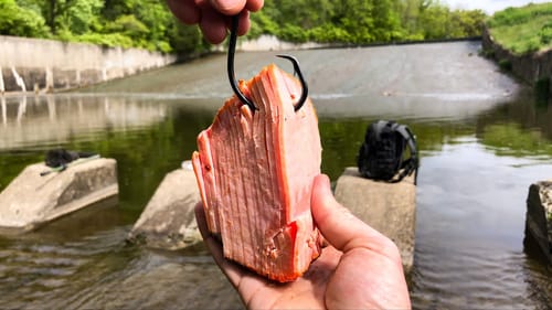 Was This Fish The KING of the SPILLWAY!?!