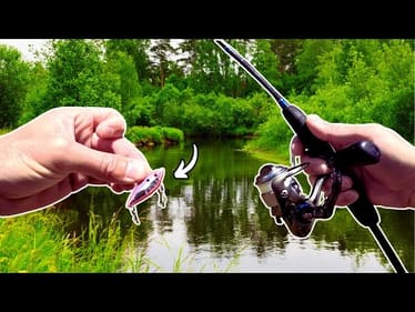 Throwing TINY LURES for AGGRESSIVE FISH!!!