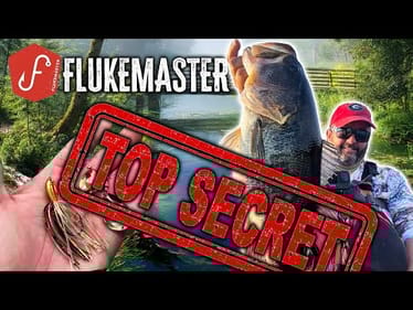 Flukemaster's Fall Spinnerbait Domination: Winning Bass Fishing Secret Tips & Tricks