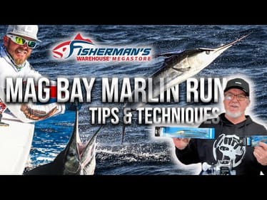 MAGDALENA BAY MARLIN RUN 2024 - TIPS - TECHNIQUES AND TRAVEL INFO