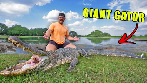 We Caught The BIGGEST Gator On The RANCH!