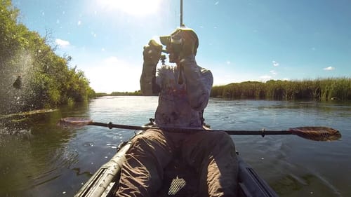 A Few Bitsy Bug Jig Bass