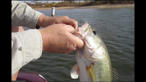 Fall Bass Fishing on Turkey Day