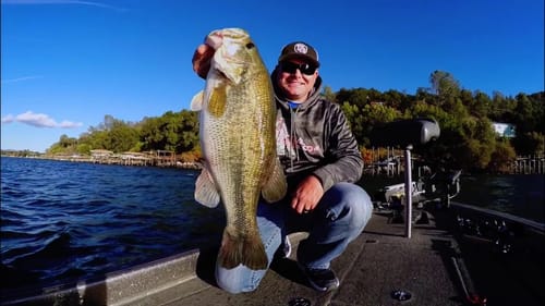 We Prove Which Baits are Best for Fall Transition Bass Fishing