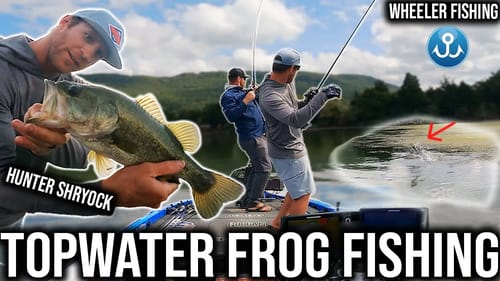 My Favorite Time of the Year for Topwater Frog Fishing