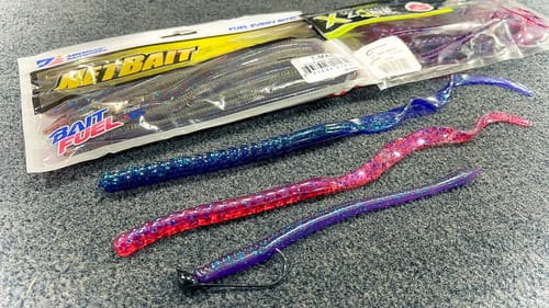 Best Worms For Summer Bass Fishing! (Dropshot, Texas Rig, Carolina Rig, Shakey)