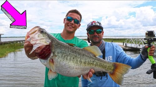 WILL JAWS BE REPLACED!?!?  RAWWFISHING BASS ADVENTURE!!!