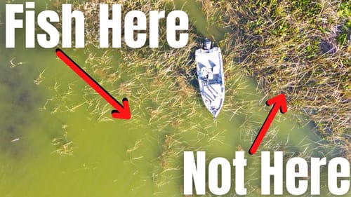 A Big MISTAKE Many ANGLERS Make In The SPRING (BASS Gives Me 2nd Chance)