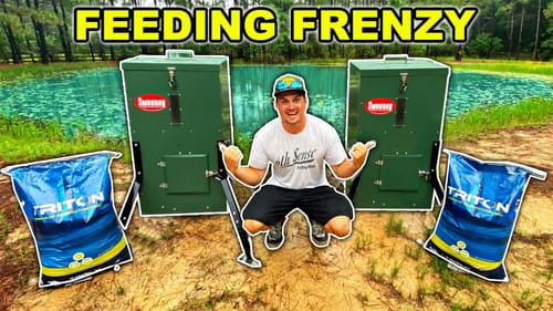 Installing FISH FEEDERS in My Backyard Pond!! (Pet Fish Feeding Frenzy)