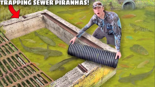 Trapping MONSTER Sewer Piranhas For My POND!
