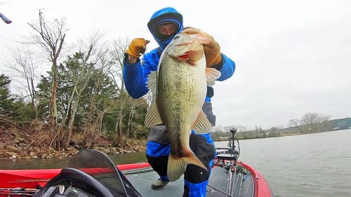 Catching BIG Bass - PREFISHING for MLF Big 5 Tournament! (Lake Guntersville)