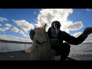Alamo Lake MONSTER! Huge Bass SMASHES My Bait!